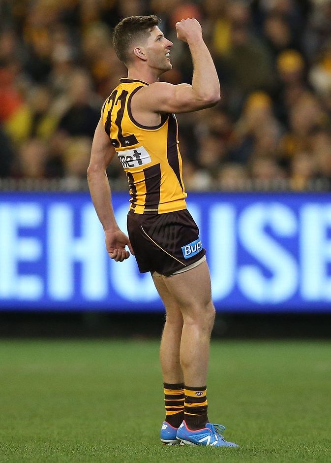 Hawks Storm Into Prelim Final - Hawthornfc.com.au